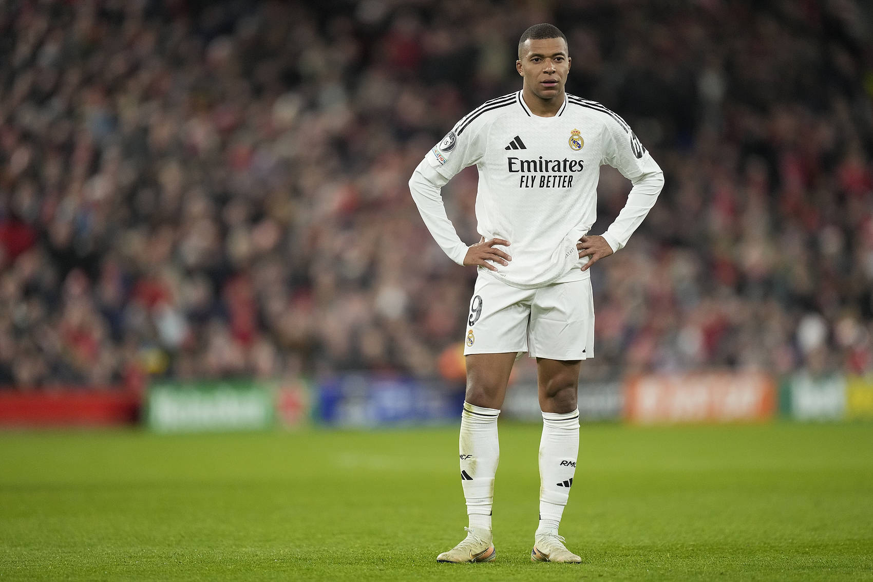 弗兰克·桑切斯与小理查德·托雷斯将进行重量级拳王资格赛，双方已达成协议，但进展缓慢。